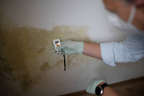 Best Residential Mold Inspection & Testing  in Linwood, PA